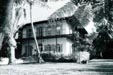 Hemingway-House/Key-West